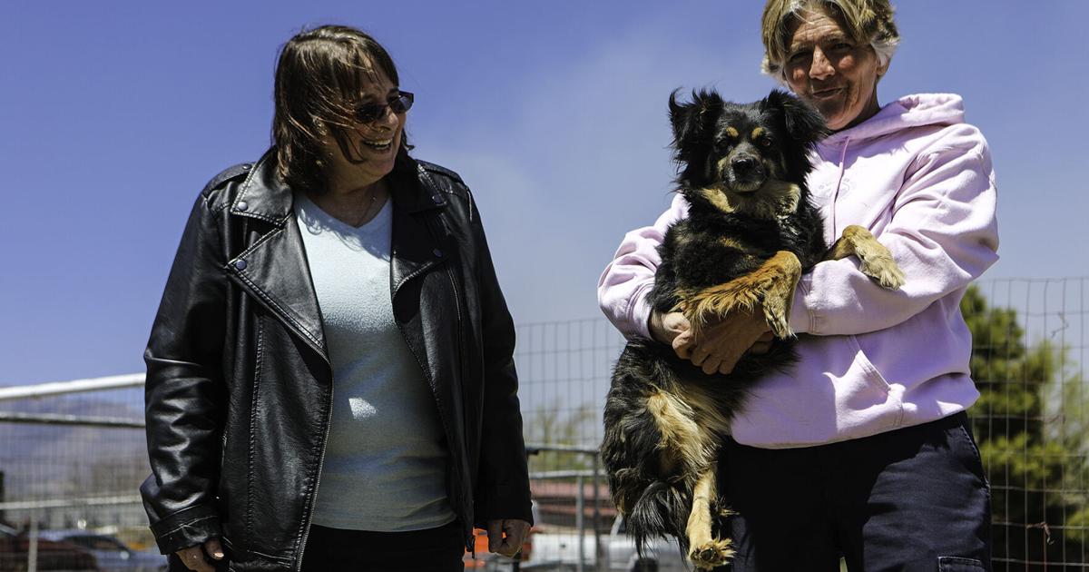 Meet the Tunnel Fire’s animal rescuers | Local