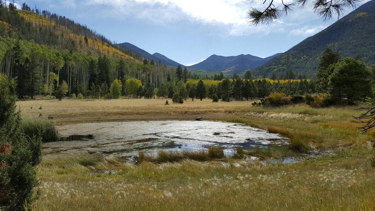 Lockett Meadow