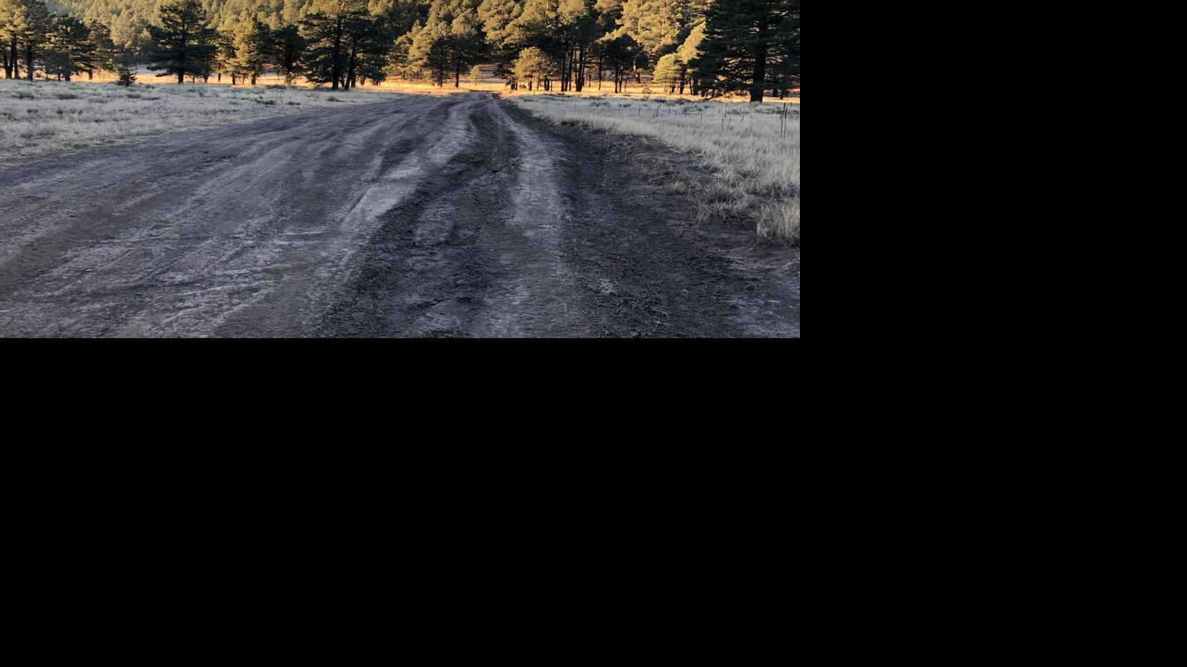 Where does this forest road lead? Only one way to find out