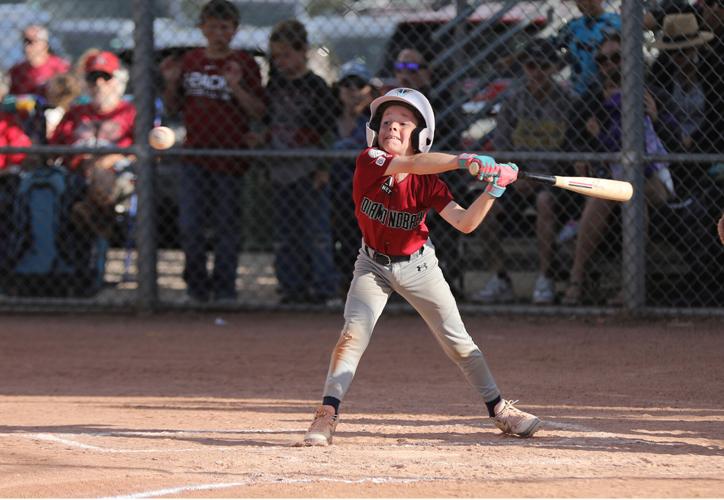 Flagstaff Little League Red vs White City Tournament