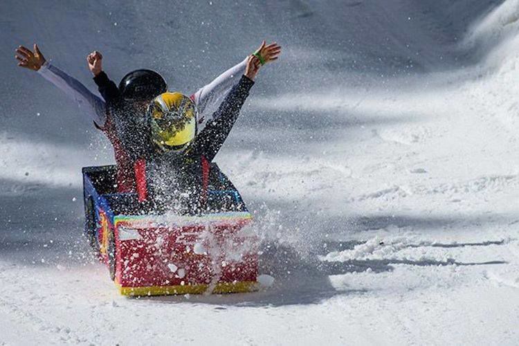 Cardboard Derby at Snowbowl