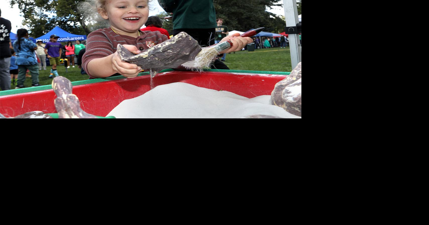 Flagstaff Festival of Science returns with 100 ways to explore