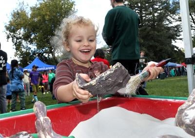 Flagstaff Festival of Science