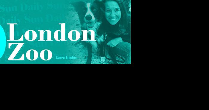 London Zoo: Compare yourself to these moms - Vimarsana News