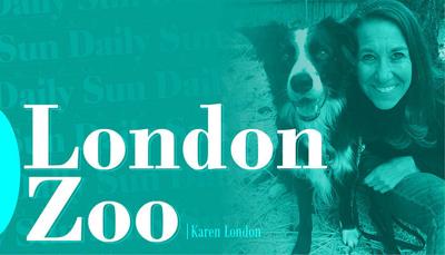 London Zoo