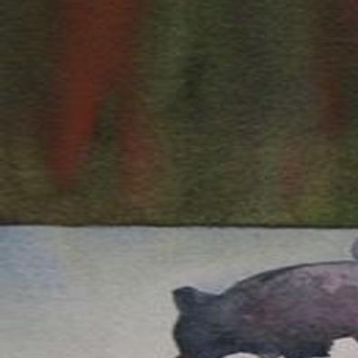 Open Doors Art In Actions S Honoring Elders Raises Awareness Of