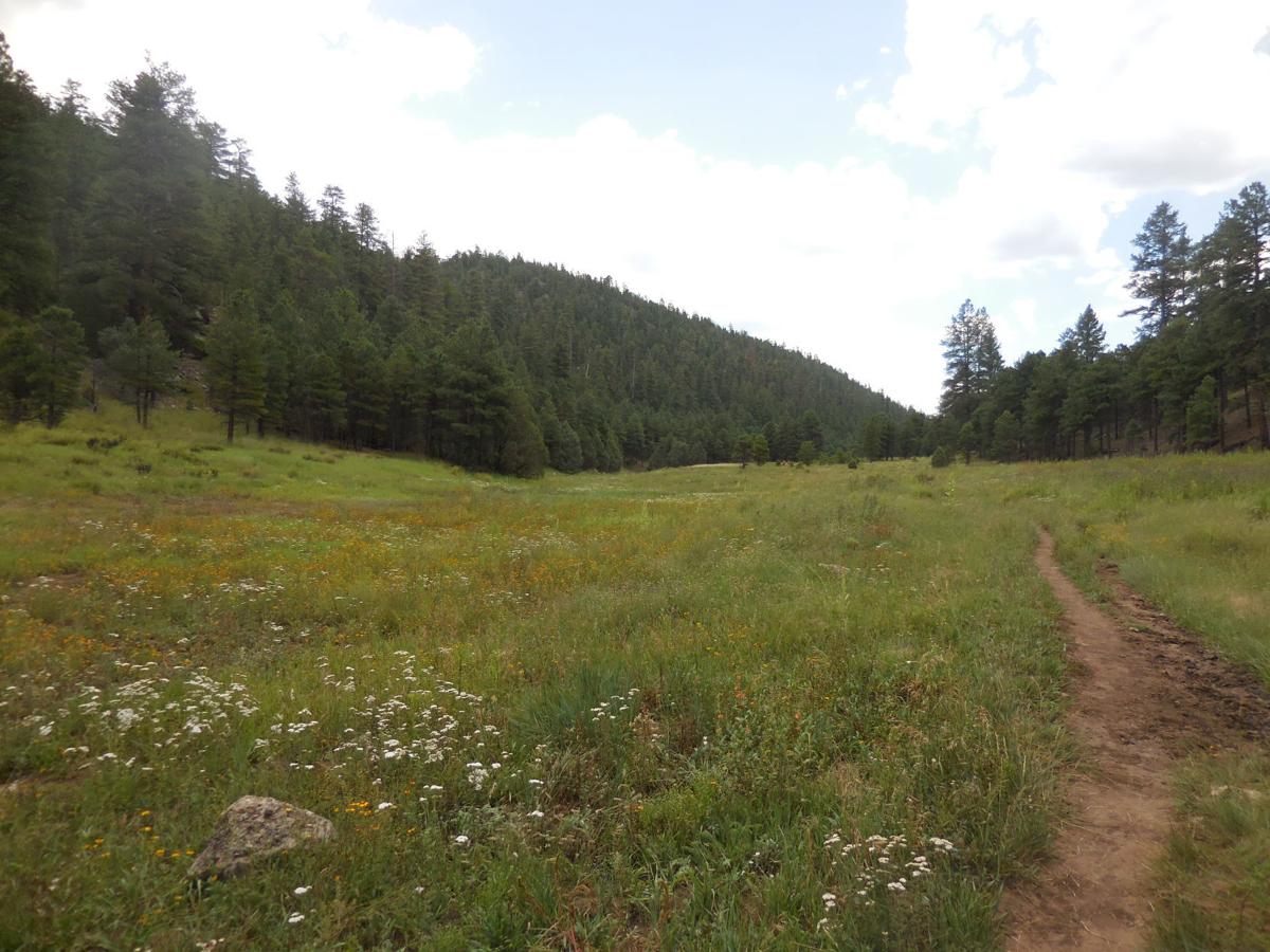 High country inspiration