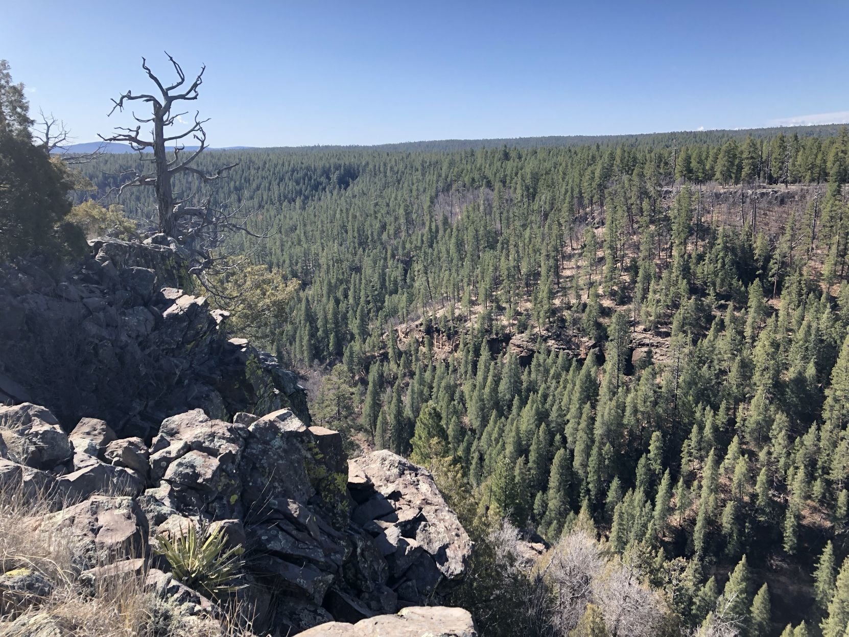 Alone With Your Senses On The Sycamore Rim Trail | Local | Azdailysun.com