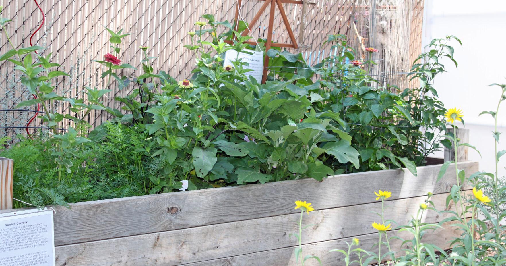 Gardening Etcetera: The 2023 Master Gardeners Garden Tour - Vimarsana News