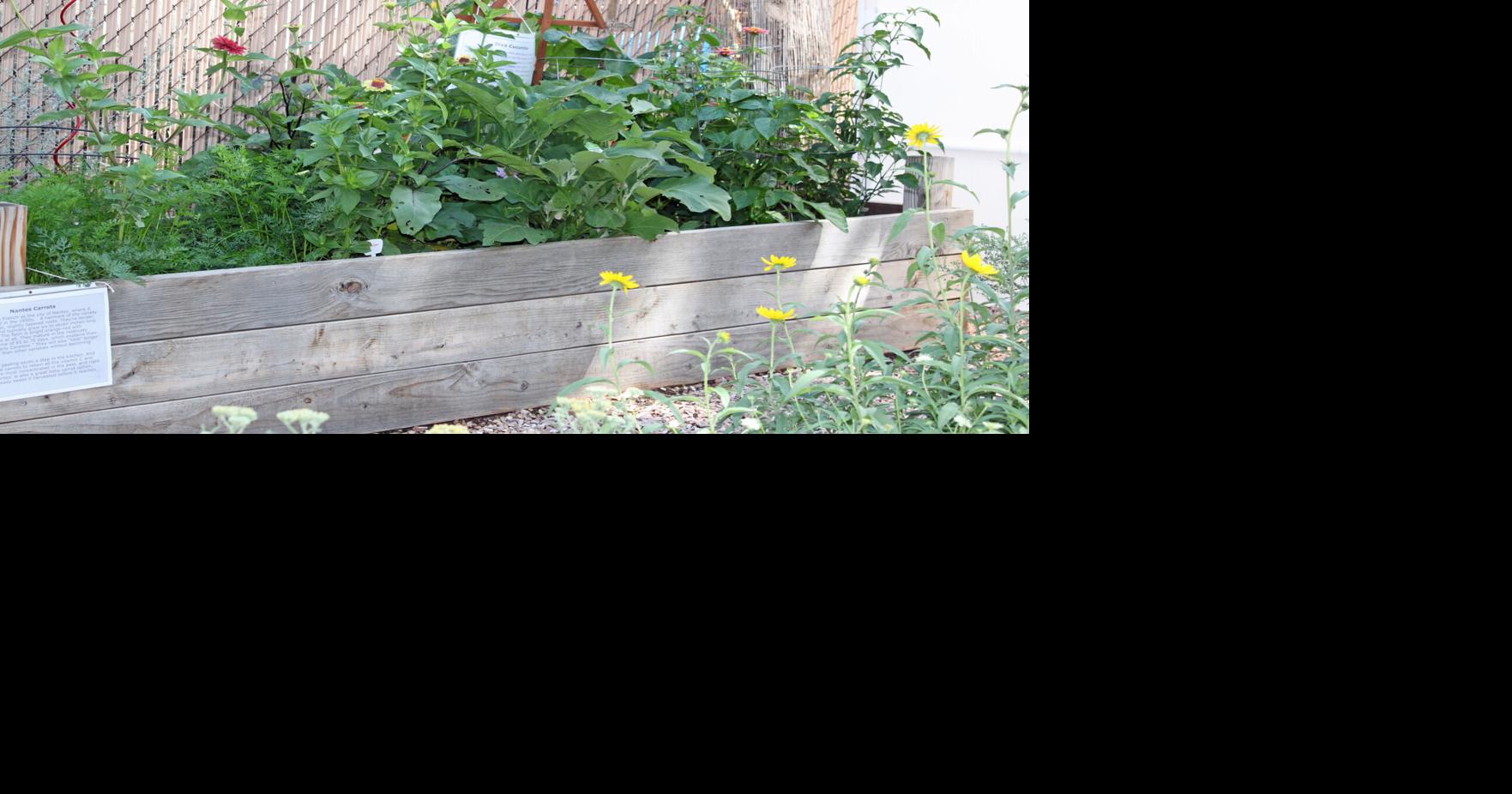 Gardening Etcetera: The 2023 Master Gardeners Garden Tour