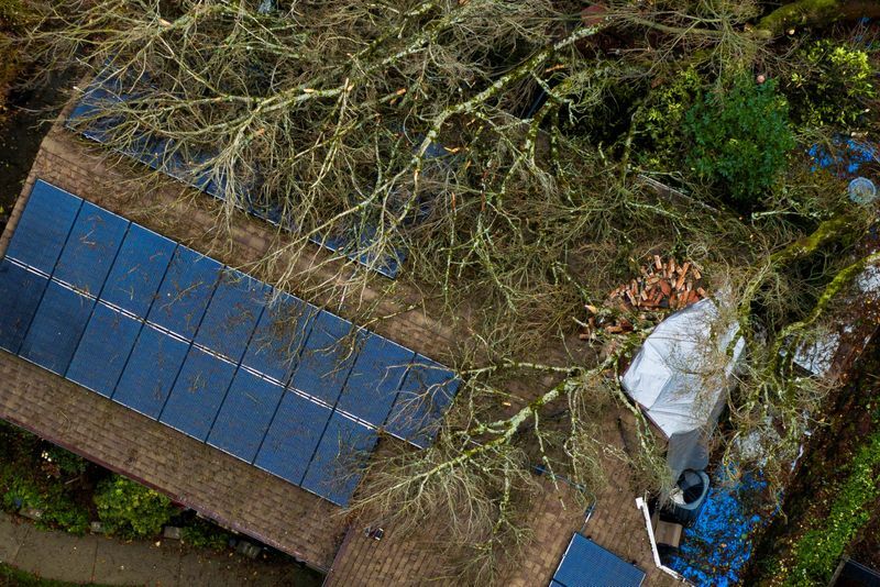 Deadly Storm Pounds Northwest, Leaving Half A Million Without Power ...