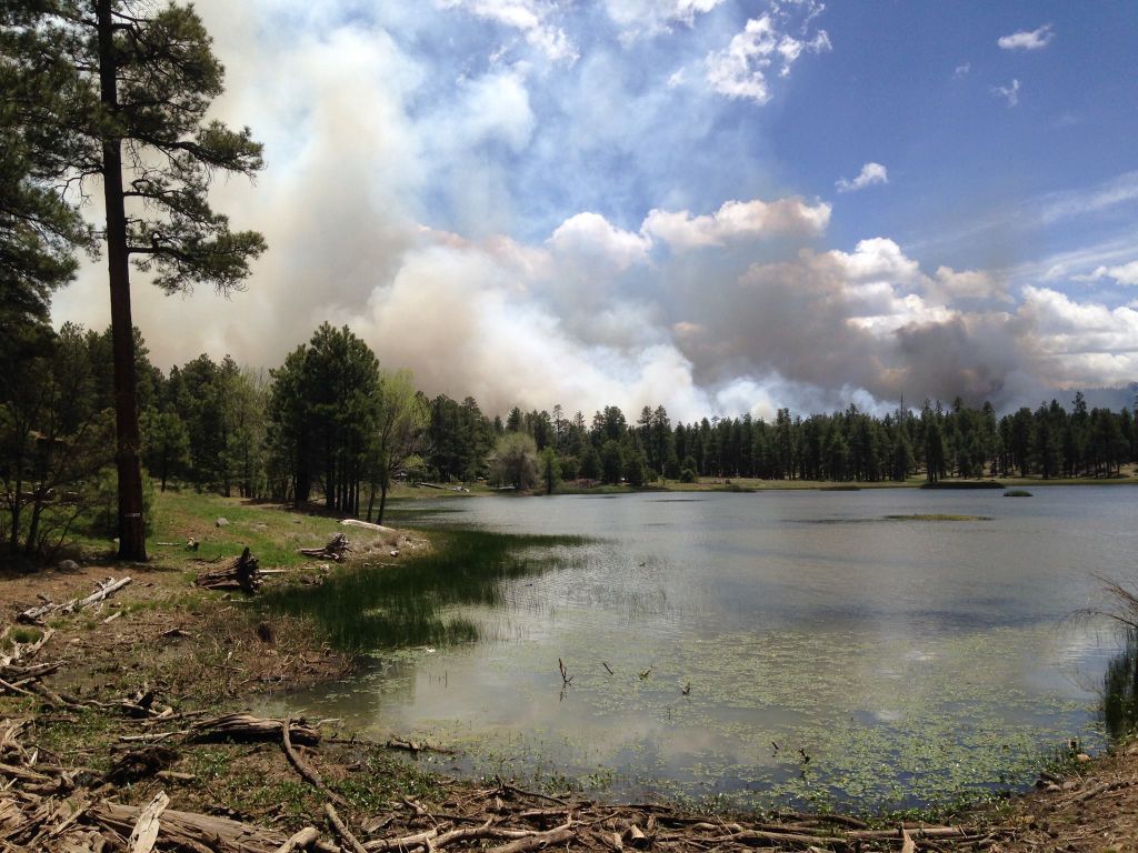 Prescribed burn begins near Munds Park Local