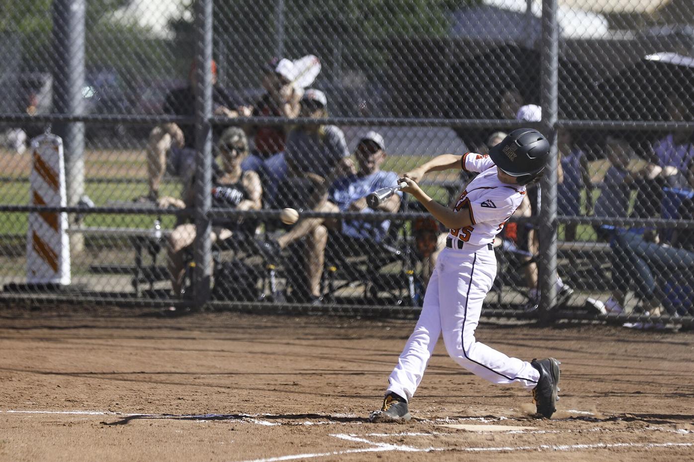 Continental, Litchfield Park Little League teams bonded with shared  connection, Local Sports