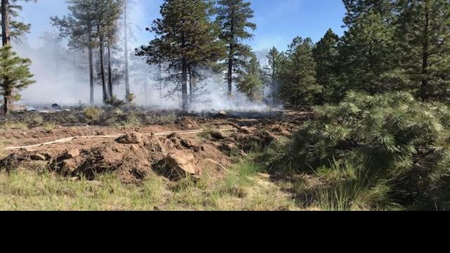 Forest Service authorities suspect human caused Chimney Springs Fire