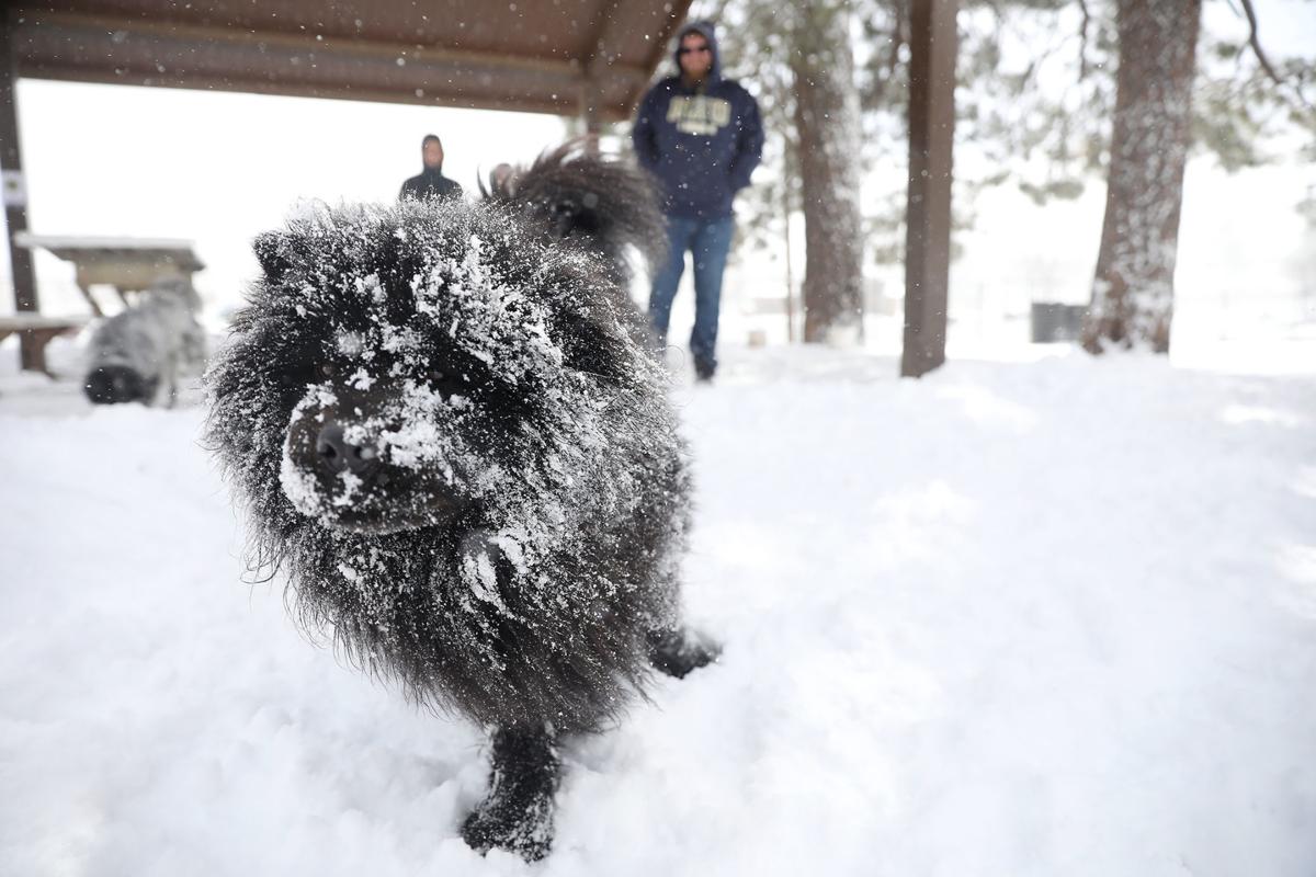 A Facefull of Snow