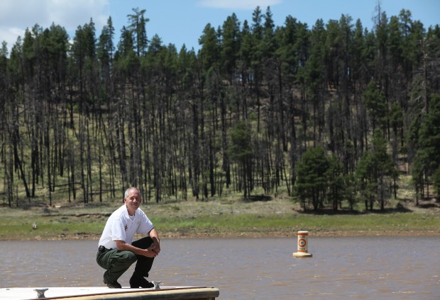 Lake Mary Thinning