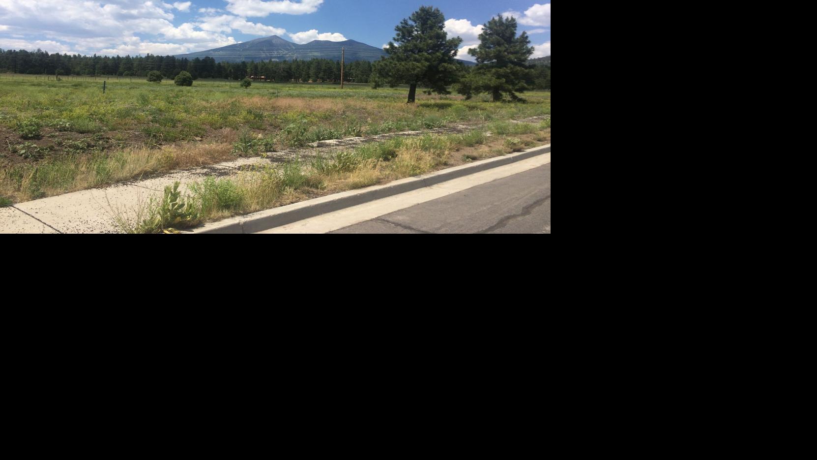 Flagstaff council to discuss affordable housing project at Tuesday's session