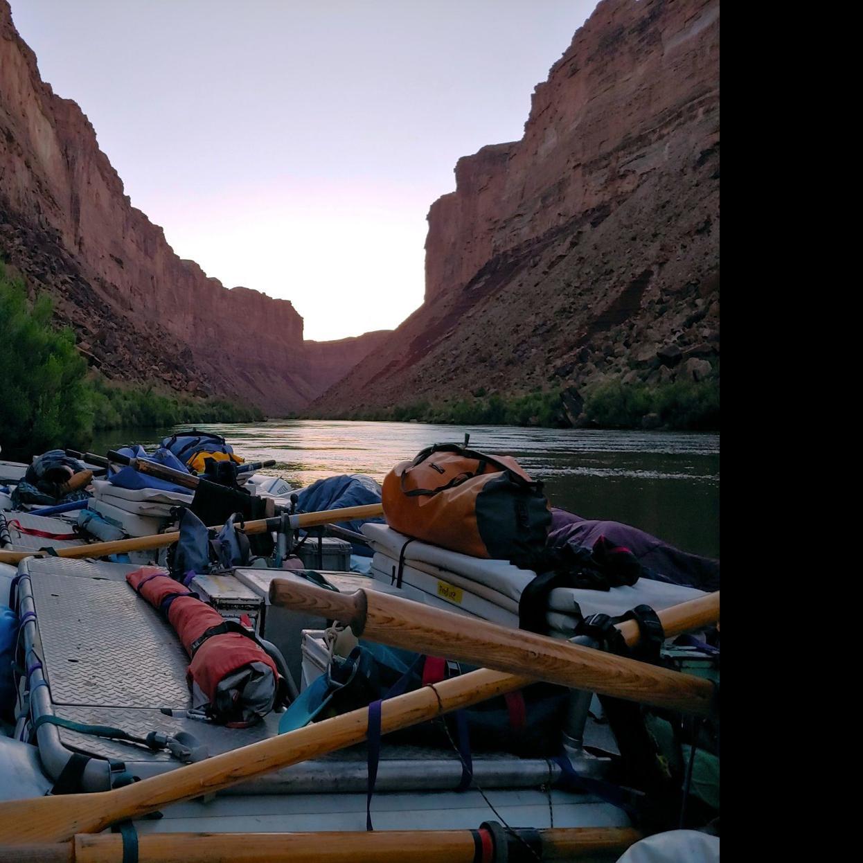 Geology Exposed The Art Of The Grand Canyon Flaglive