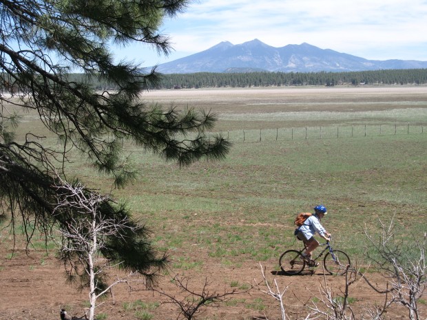 Outdoors Rogers Lake Ramble Recreation Azdailysun Com