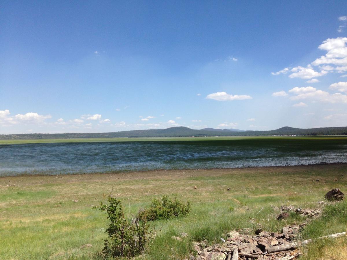 Mormon Lake Az >> Mormon Lake Is On The Rise Local Azdailysun Com Mormon Lake Az >> Mormon Lake Is On The Rise Local Azdailysun Com