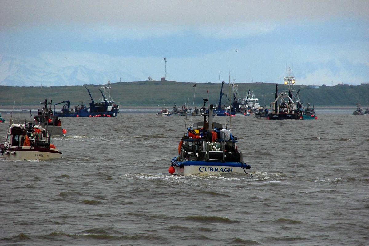 bristol-bay