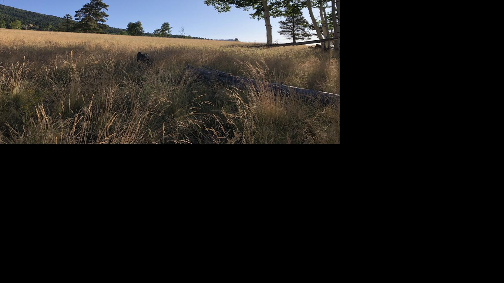 As Flagstaff Trails Initiative grows, officials look to other trail funds for inspiration