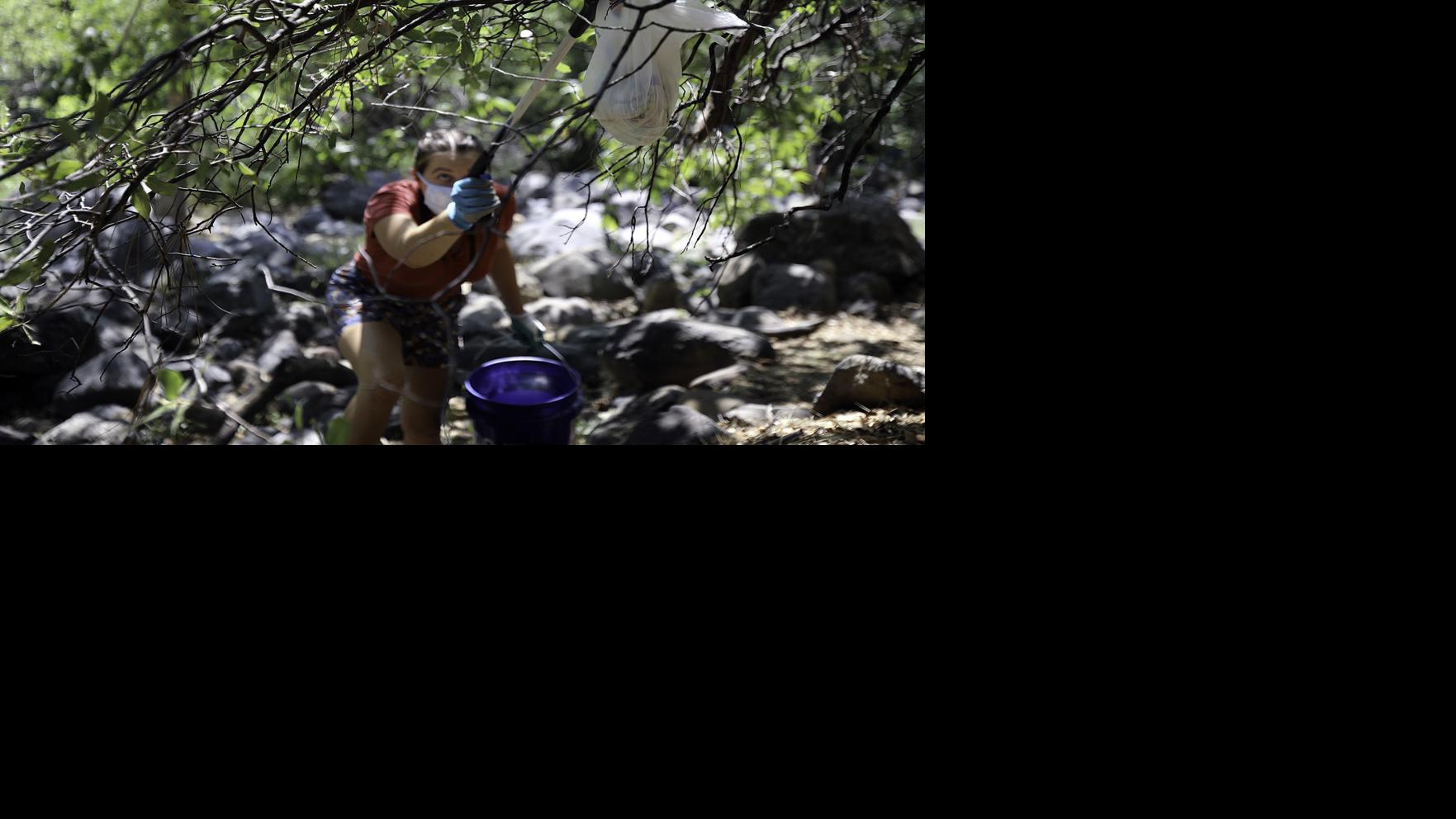 Trash and traffic increase in Oak Creek Canyon, worrying officials and nonprofits
