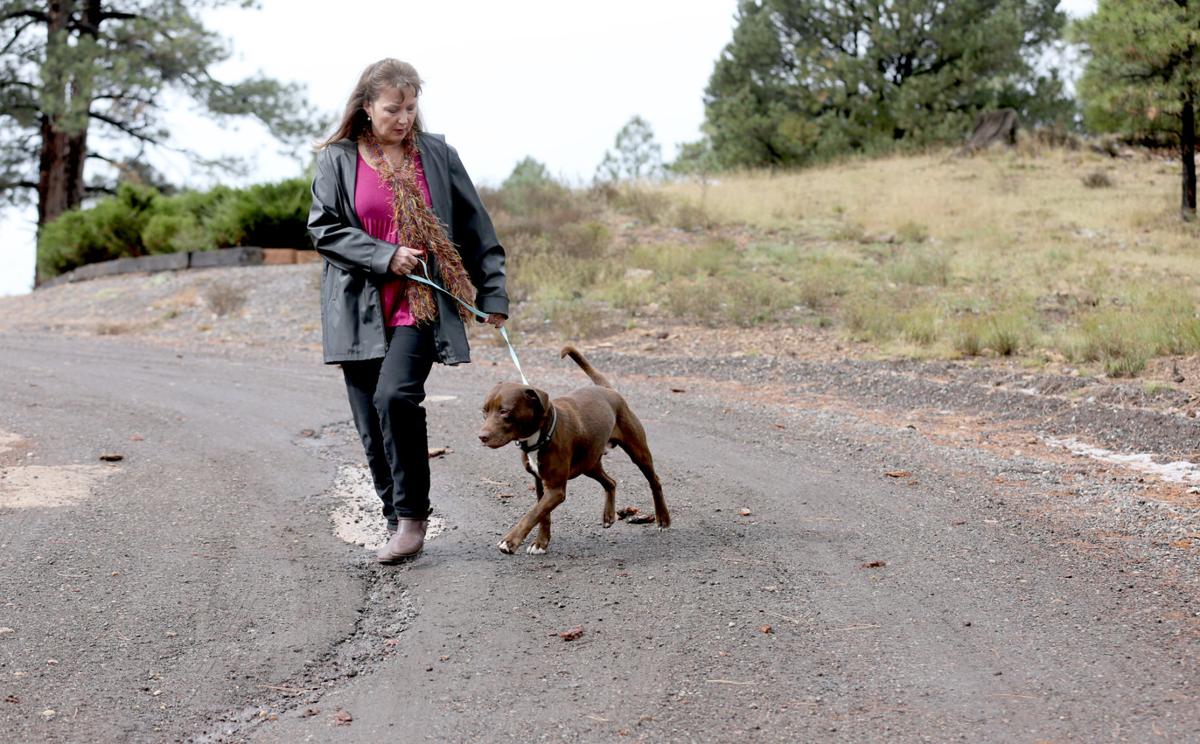 Coconino Humane Association seeks dedicated volunteers News