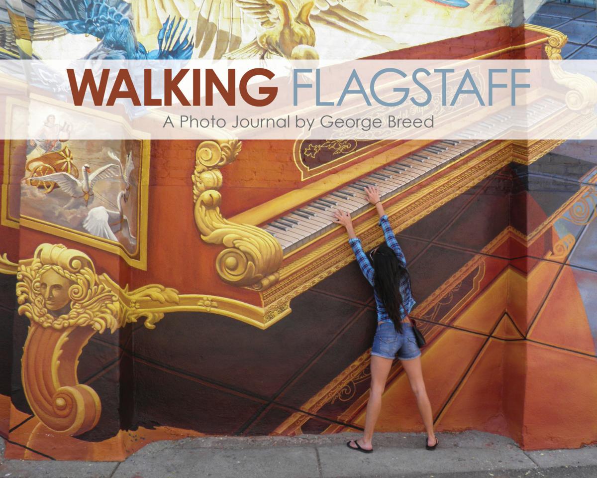 Walking Flagstaff cover