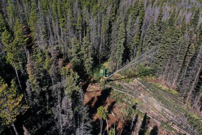 US-NEWS-STATES-LOGGING-GET