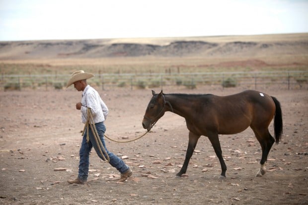 Hashknife sale a Babbitt Ranches tradition | | azdailysun.com