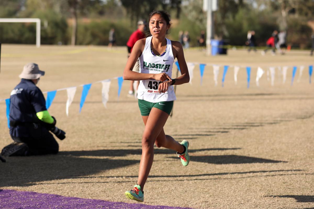 Gallery Division II and DIV cross country state championships