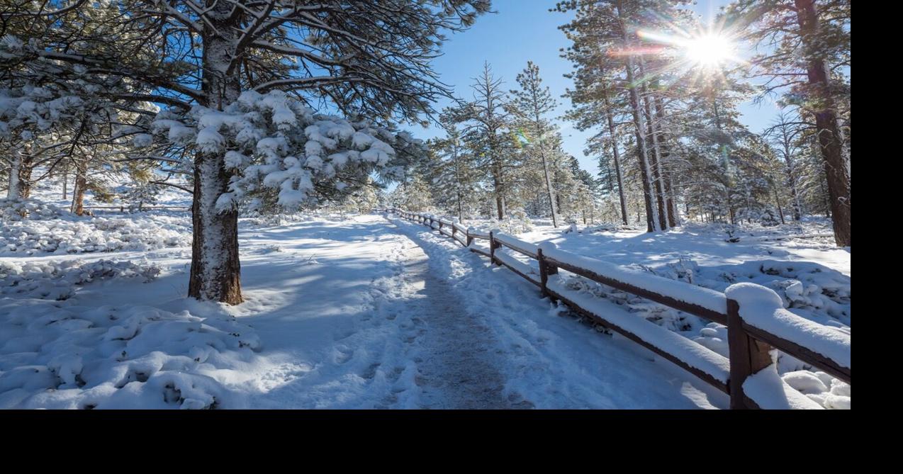 What I have learned from living in Flagstaff