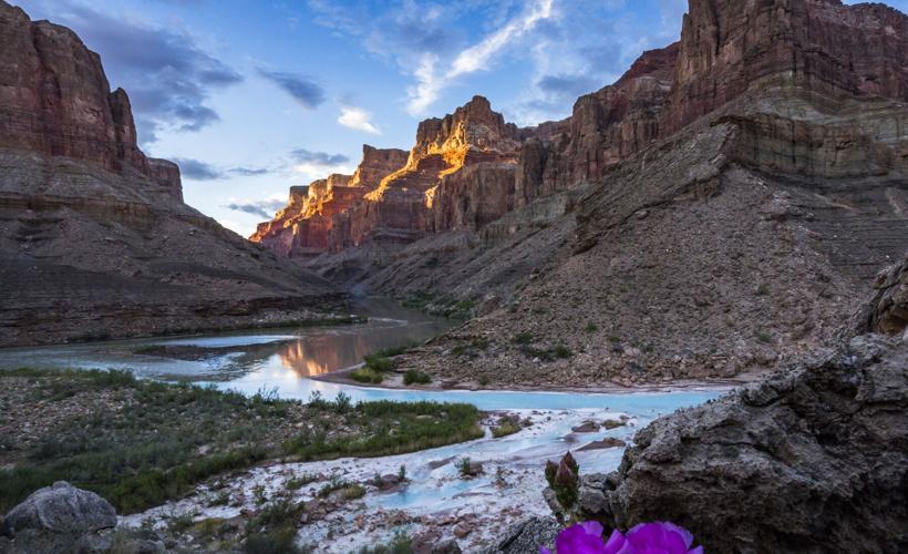 Into the Canyon
