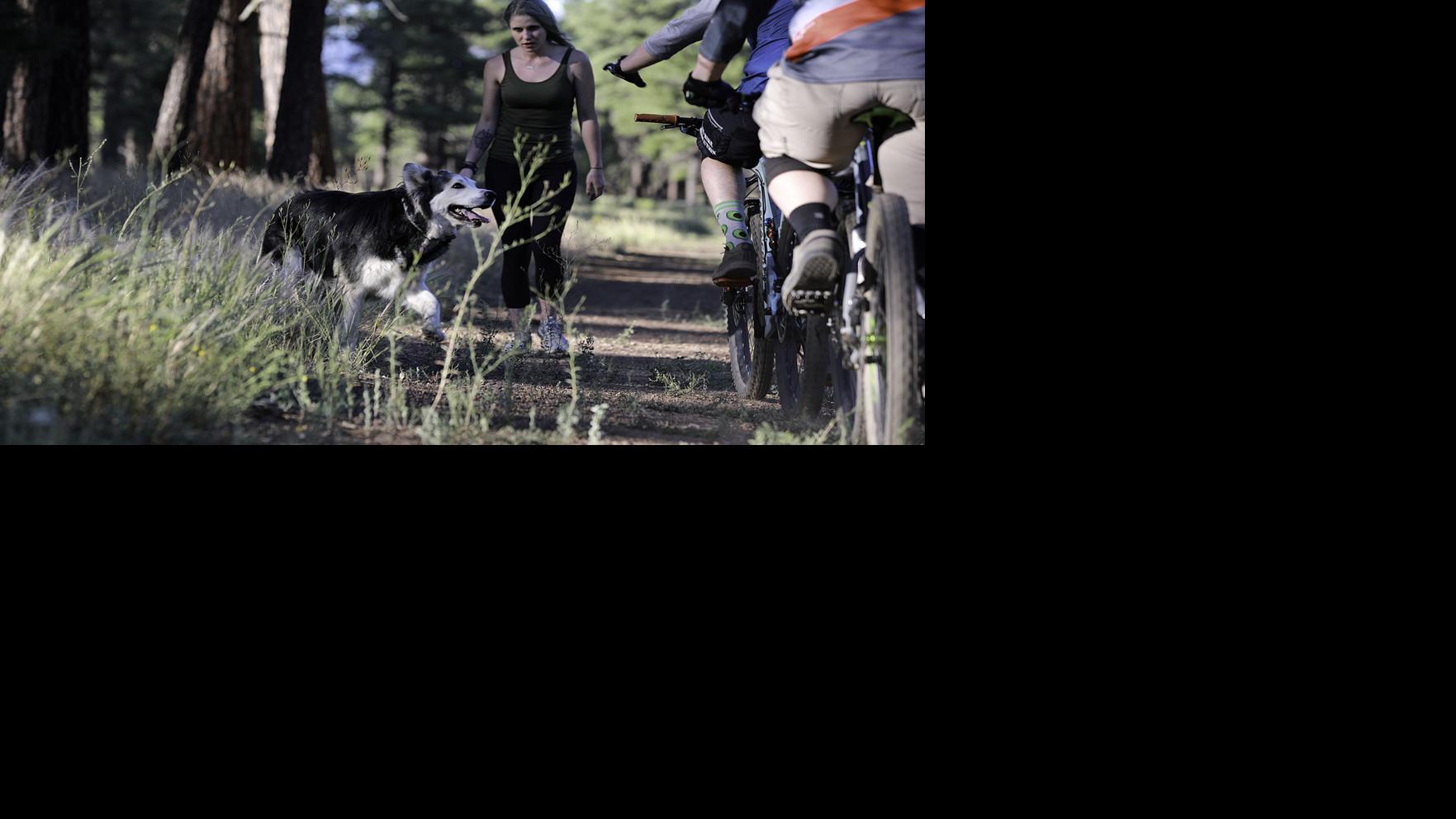 SUNDAY FEATURE: Lessons in trail etiquette: A look at sharing space in Flagstaff