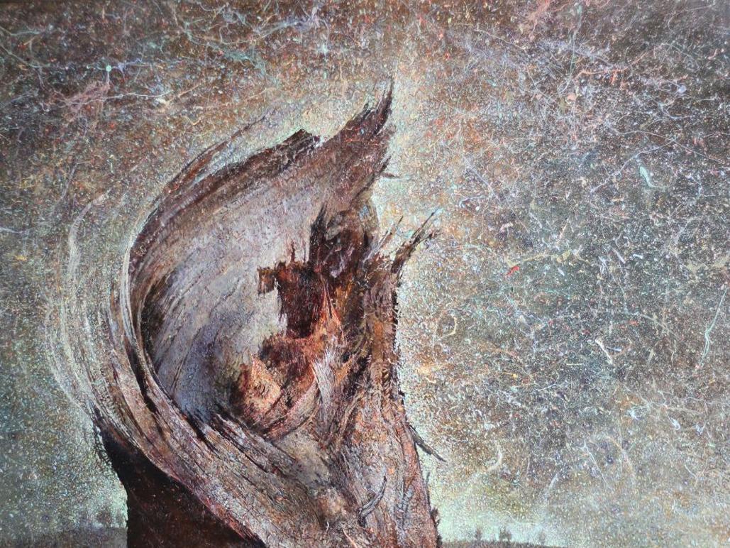 Desert Haunts David Christiana S Portraits Of Petrichor
