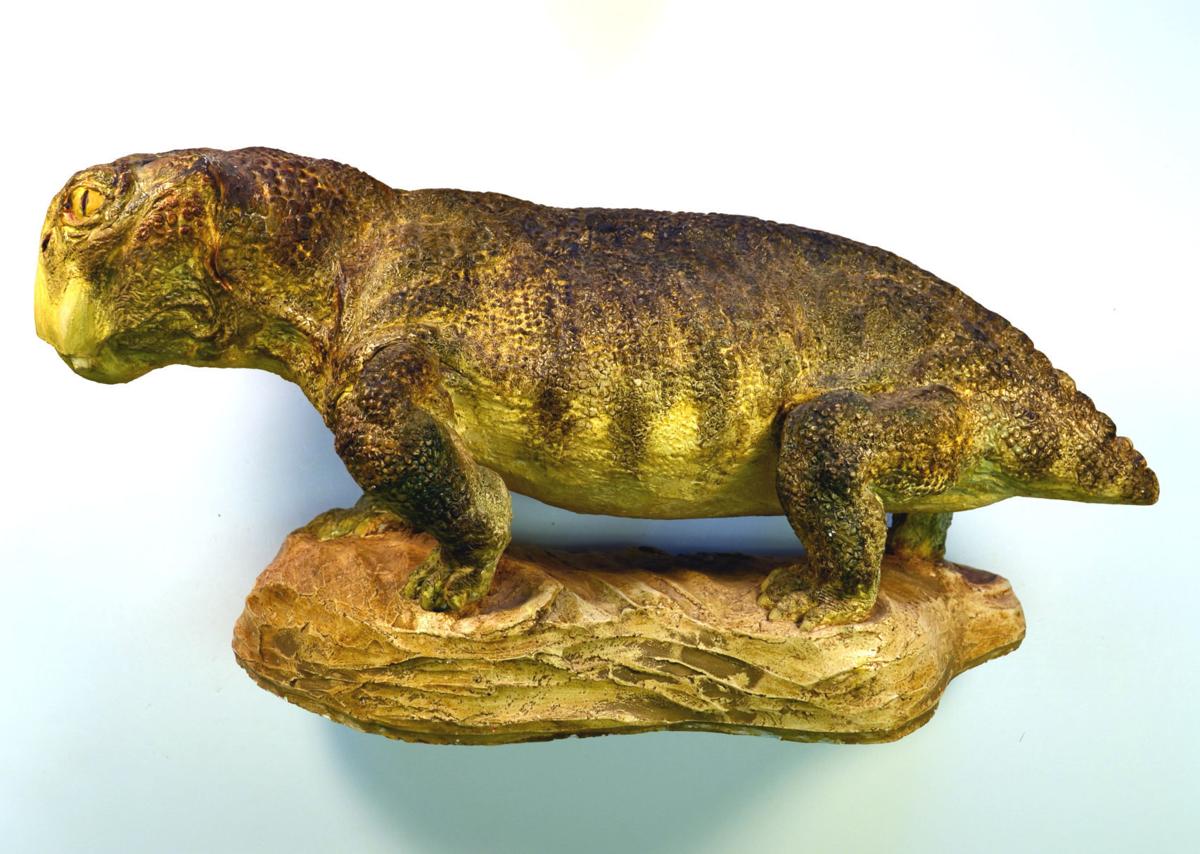 Discovery of Lystrosaurus and a scientific revolution