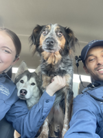 Animal Welfare: Getting to know the Animal Control Officers