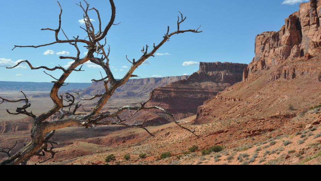 1.4 million weigh in on administration&rsquo;s review of national monuments