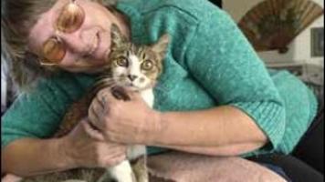 21 year old cat