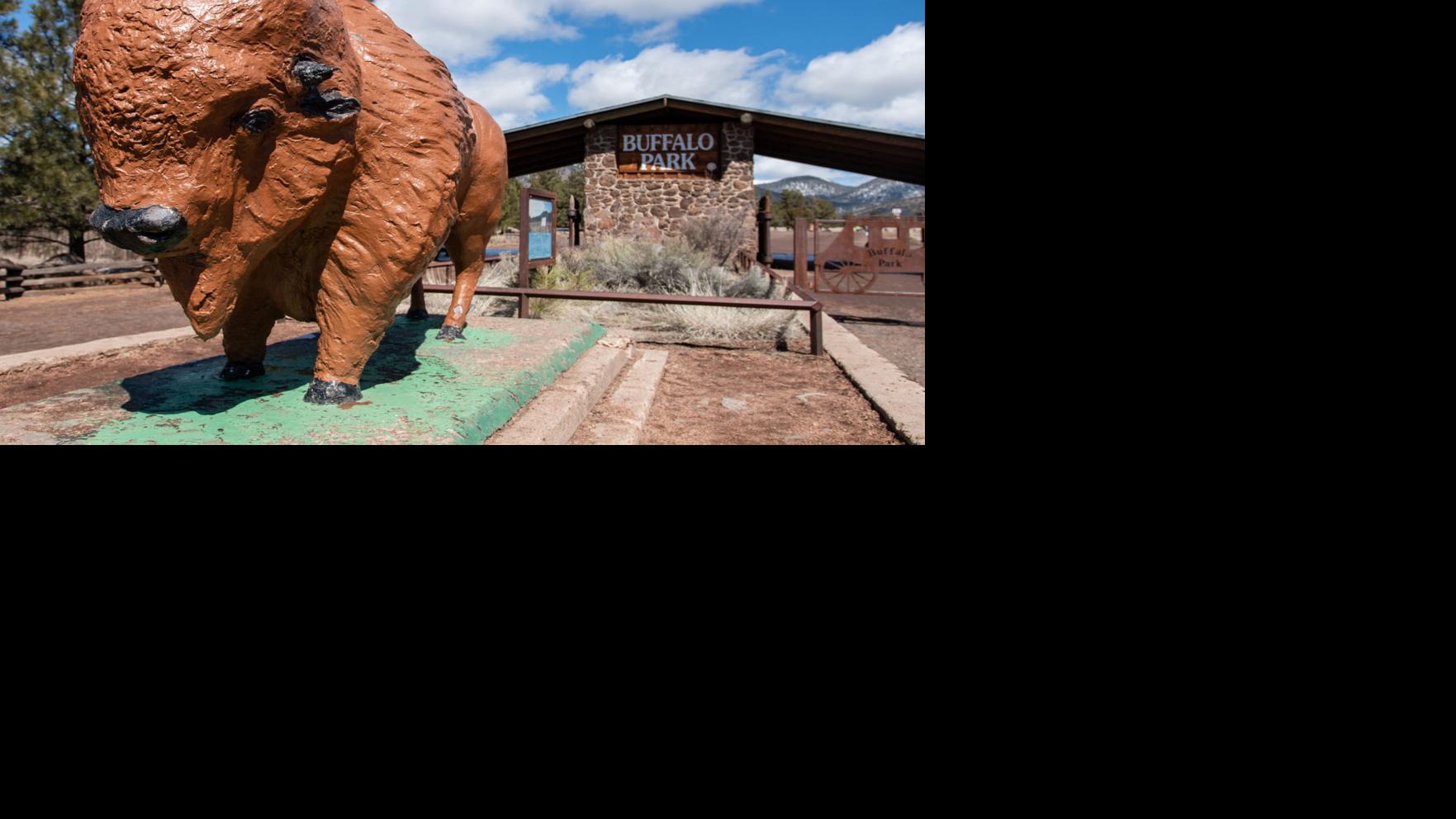 Buffalo Park closed indefinitely