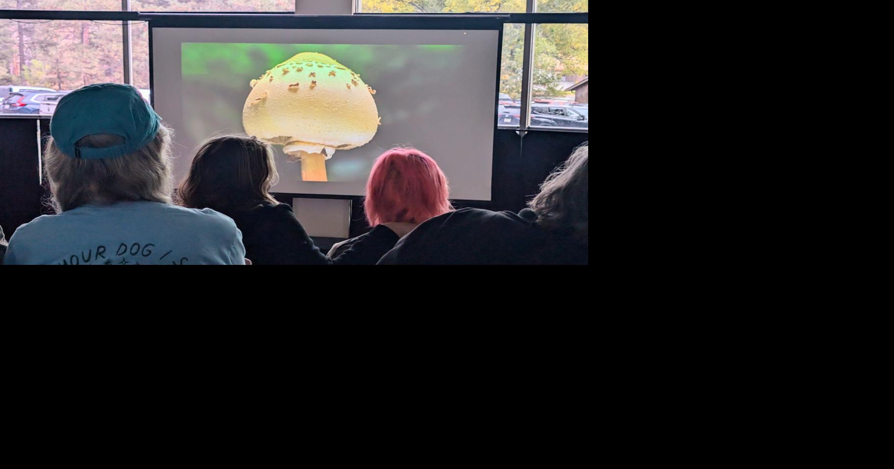 Fantastic Fungi Audience