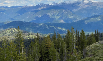 Montana