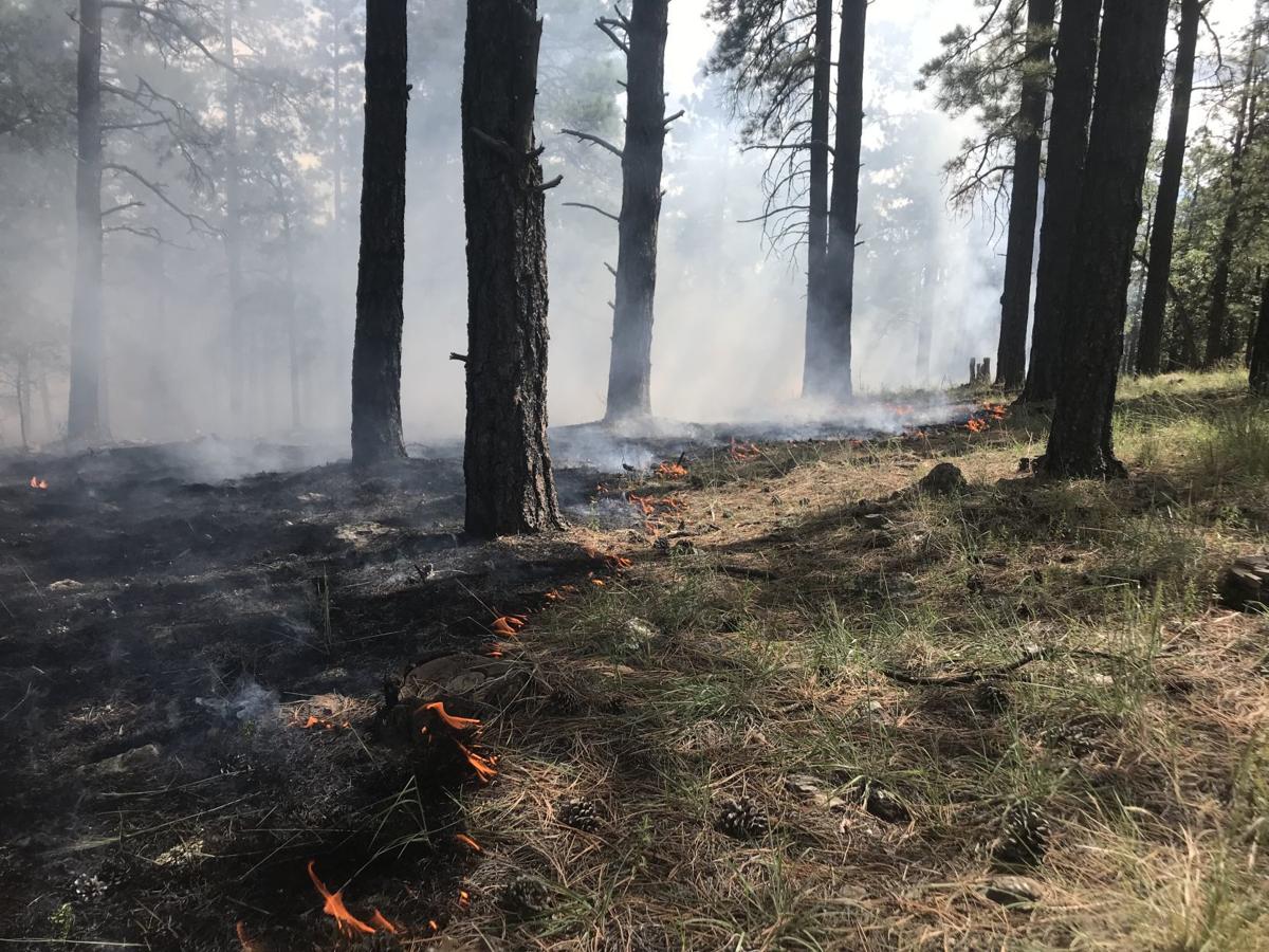 Prescribed burn
