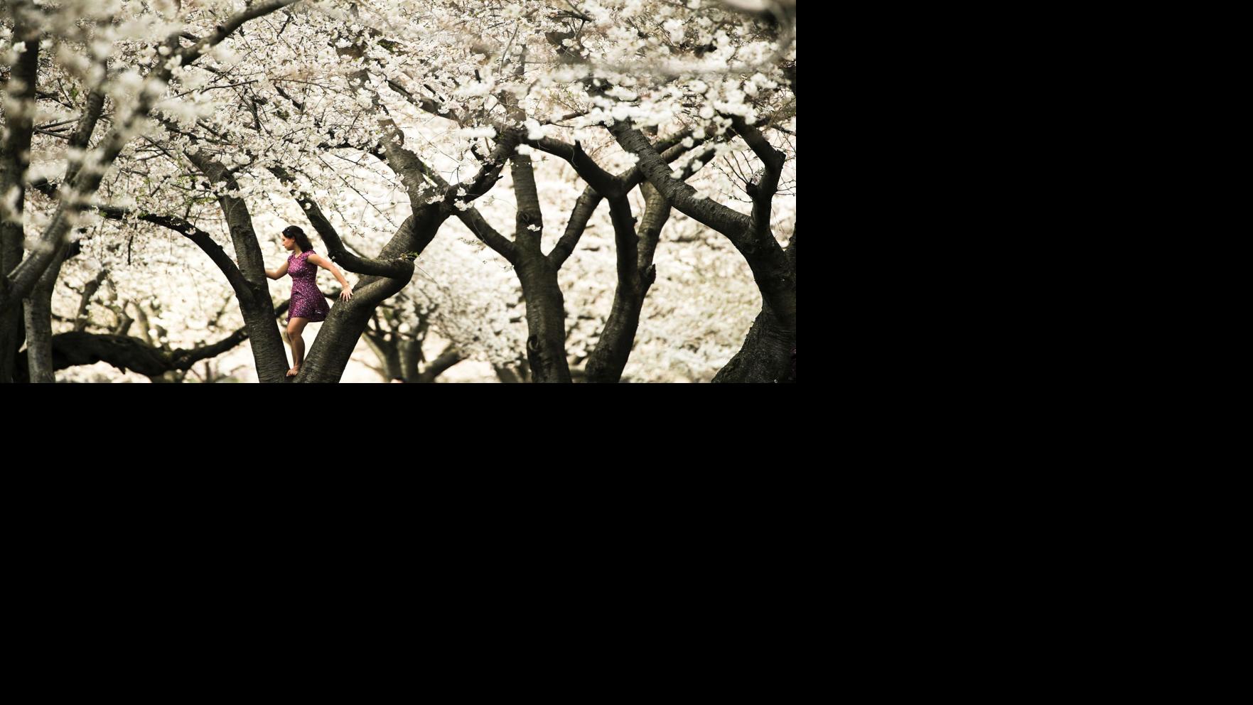 First day of spring is here: Here's what to know about spring equinox