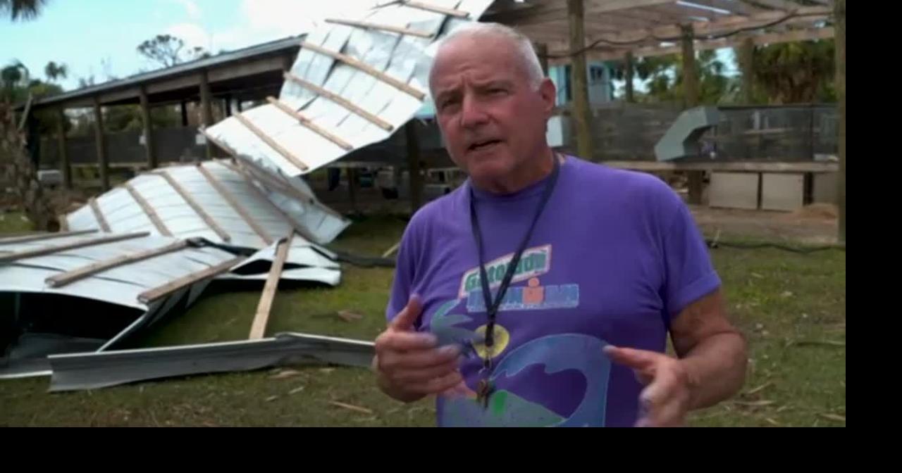 Rescuers flock to save parrots stranded by Ian