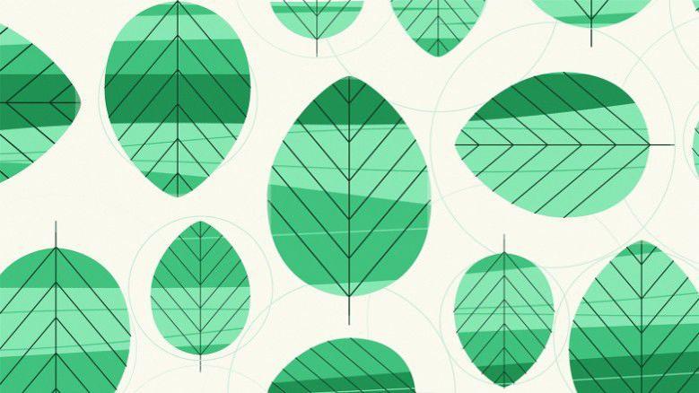 Why we all need green in our lives