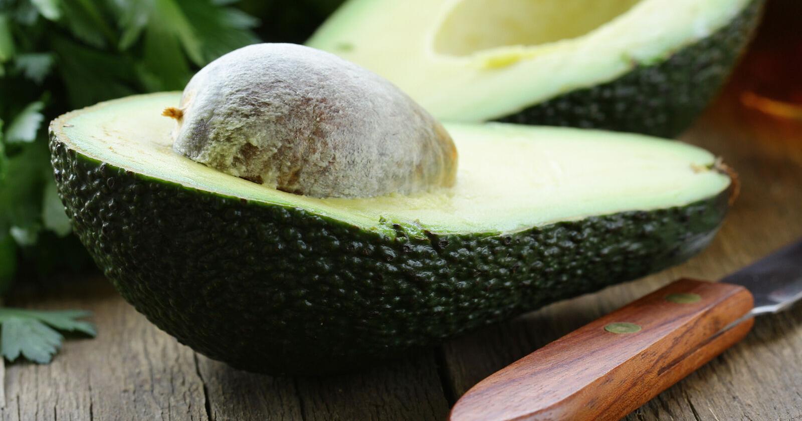 5 recipes to usher in spring brunch season - Vimarsana News