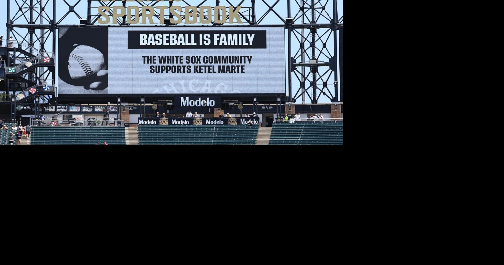 Baseball deserves better' than fan's behavior at White Sox game — and so  does society | Baseball | azdailysun.com