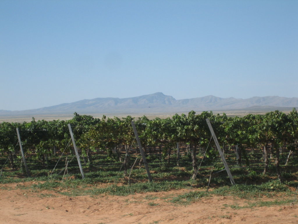 Pine Wine New Mexico's Gruet sparkling wines